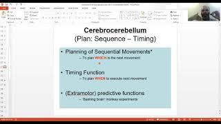 12c LIVE Cerebellar Functions and Clinical Disorders Intention tremor Dysmetria Ataxia MBBS [upl. by Eisserc]