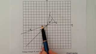 Q7 Enlargement by negative scale factor [upl. by Eiznikam]