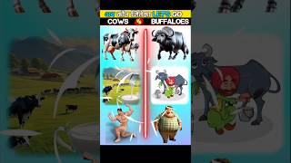 Cows Vs Buffaloes comparison viral Shorts ll viralshort comparison ytshorts shorts foryoupage [upl. by Myrtice]