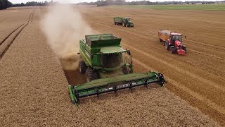 ❗️ Żniwa 2024 cz3  Pod kosę poszła pszenica  Opady nie dają o sobie zapomnieć ☁️🌦🌧🚜 [upl. by Eislel]