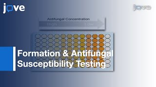 96 Well Microtiter PlateBased Method Testing Of Candida albicans Biofilms l Protocol Preview [upl. by Arikat]