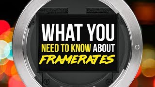 24p vs 30p vs 60p  What you NEED TO KNOW about Framerates [upl. by Nauqed]