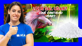 TIPOS DE SAL para acuario de AGUA DULCE y CÓMO USARLA [upl. by Lupien]