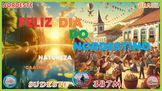 Dia 8 de outubro Dia do Nordestino 2024 [upl. by Scrogan]