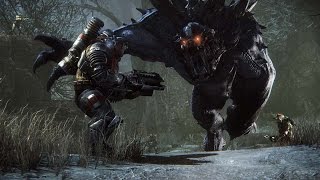 Evolve Video Review [upl. by Averell]