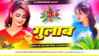 gulab dj song  nilkamal Singh new song  instagram viral song  dj malai music 2024 [upl. by Ahsini]