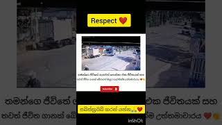 මිනිස්සු බනින බස් කාරයෙක්ම තමයි මේත් 😍❤️ automobile shortvideos new [upl. by Nahtanha]