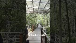 Tanjung Piai boardwalk travel nature jdt [upl. by Roman]