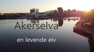 Akerselva  en levende elv [upl. by Egnalos]