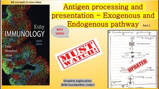 Antigen processing and presentation Exogenous and Endogenous pathway immunology csirnet [upl. by Rebeca]