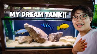 Setting Up the AFRICAN CICHLID TANK for REAL [upl. by Dlanod185]