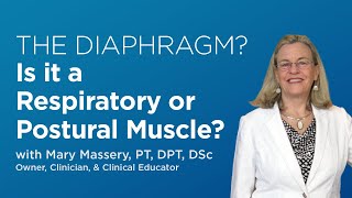 Is the Diaphragm a Respiratory OR Postural Muscle The Surprising Answer [upl. by Htebarual]