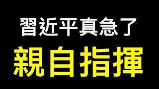 彭博社爆內部消息：習近平親自指揮⋯⋯ 路透社：為什麼「國家隊」不能拯救螺旋式下降的中國股市？ [upl. by Ailalue]