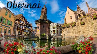 Obernai  Alsace quotPre Christmasquot Full Tour 4K [upl. by Runck423]