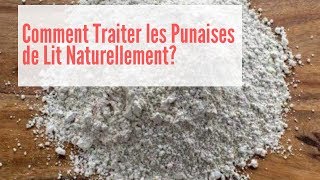 Comment se Débarrasser des Punaises de Lit Naturellement  Comment se Débarrasser des Puces de Lit [upl. by Northrup]