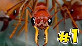 Ant Simulator  Empires Of The Undergrowth  Ep1 [upl. by Lai384]