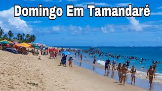 Tamandaré Pernambuco Domingo 17 De Dezembro De 2023 [upl. by Anecusa738]