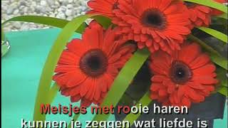 Arne Jansen  Meisjes met rode haren  KARAOKE  Lyrics [upl. by Laurance]