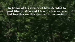 Introduction  In Memory of Milo Asher  YouTube Music [upl. by Deloris]