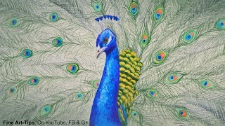 How to Draw a Peacock With Color Pencils  Drawing Feathers and Birds [upl. by Payne]