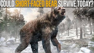 Could ShortFaced Bear Survive Nowadays [upl. by Nakeber963]