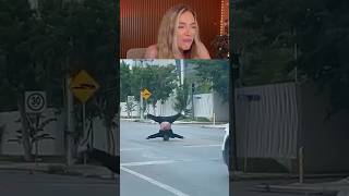 Try Not To Laugh Challenge 473 🤣 funny shorts viral [upl. by Arreit]