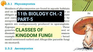 Class 11 BiologyCh2 Part5Classes of FungiStudy with Farru [upl. by Rahman]