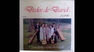 Dedos de David  A Família  LP Completo [upl. by Edals]