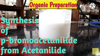 Synthesis of para bromoacetanilide from Acetanilide [upl. by Allene]