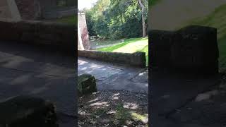 Land Rover Experience at Peckforton Castle Hotel Cheshire England [upl. by Yelkrab]