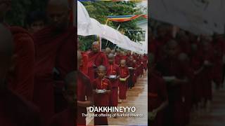 Offering of alms to 100 Buddhist monks alms giving buddhist culture srilanka [upl. by Nashbar]