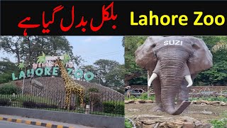 Lahore Zoo  European Style Zoo In Pakistan  Lahore Zoo Reopened 2024 [upl. by Aitenev]