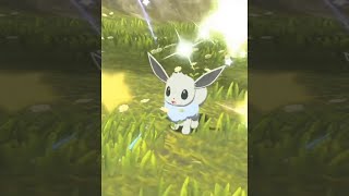 Shiny Eevee Found In Pokemon Legends Arceus SHORTS [upl. by Ardisj]