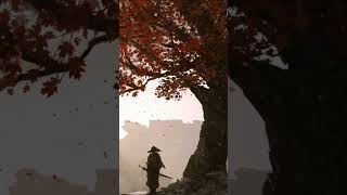 Samurai Shakuhachi Music Accompanied By A Wise Samurai 🍁 shorts [upl. by Euqinotna]