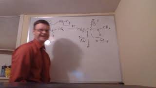 Acid Hydrolysis of Amides [upl. by Anawat]