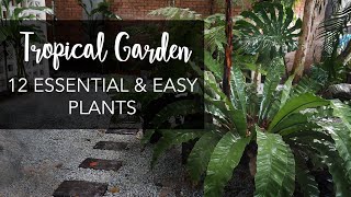 Top 12 MustHave amp Easy Plants for a lush Tropical Garden [upl. by Wernda]