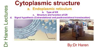 Cytoplasmic structure or Endomembrane StructureEndoplasmic reticulum [upl. by Rehsu83]