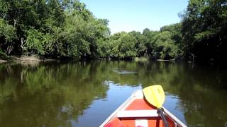 Tippecanoe River Solo canoe trips Tippecanoe River State Park Winamac Indiana [upl. by Gnel236]