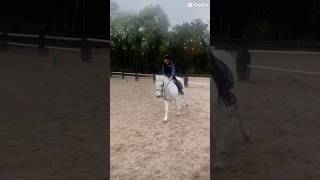 Babylone 😻💋🥰 equestrian poney horse [upl. by Nirahs]