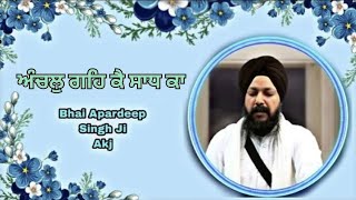 Akj Apardeep Singh UK  Dodra  Akj  Samagam  Kirtan 2024 [upl. by Hnahk]