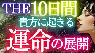 見た時から１０日間に貴方に起きる運命的なこと💎見た時がタイミング★個人鑑定級・タロット霊視予知リーディング✨🌎️オラクル仕事運 金運 対人運 恋愛🔮ふなチャンネル 風菜タロット 運命 お金の流れ恋愛 [upl. by Enneillij940]