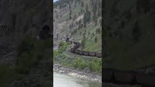 MASSIVE COAL TRAIN THRU CURVES amp TUNNEL shorts [upl. by Nnyrat]