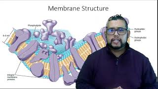 3 Estructura y función de células microbianas [upl. by Leaw]