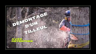 Élagage  Démontage dun Tilleul avec rétention [upl. by Ketti]