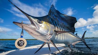 The Sailfish Challenge  Catching The Worlds FASTEST FISH   River Monsters [upl. by Edd]