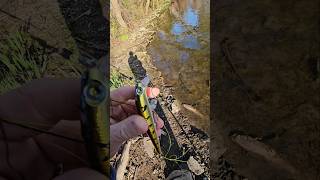 Storm thunderstick lure lurefishing [upl. by Hoisch]