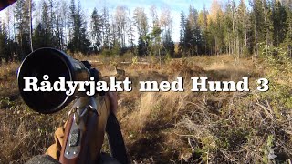 Rådyrjakt med hund 3 [upl. by Abert385]