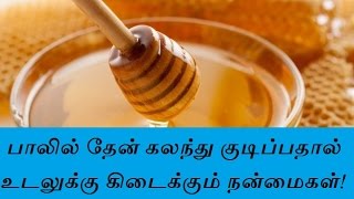 பாலில் தேன் கலந்து குடிப்பதால் உடலுக்கு கிடைக்கும் நன்மைகள்udal nalam  alagu kurippu  Tamil Info [upl. by Henson465]