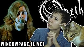 Listening to Opeth with my cat  Windowpane Reaction Live at Shepherds Bush Empire London [upl. by Pufahl]