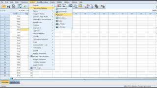 SPSS  Verileri Normal Dağılıma Dönüştürme [upl. by Alahs]